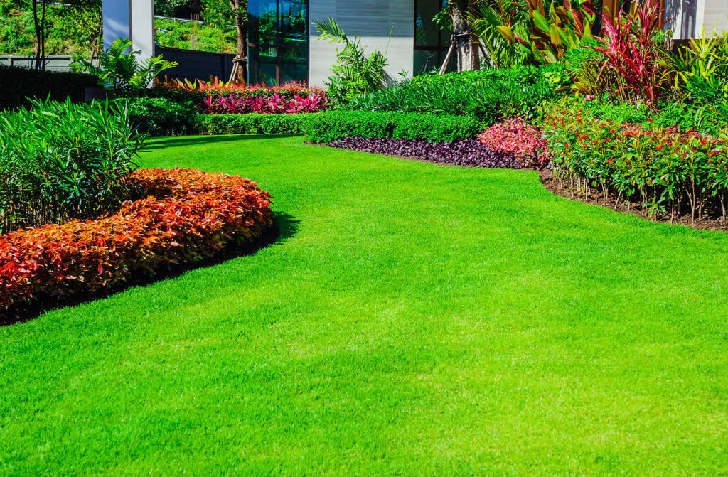 artificial-grass