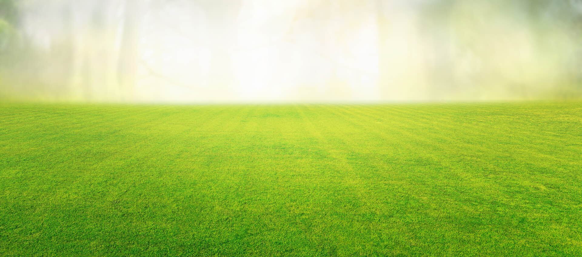 Artificial Grass Installers